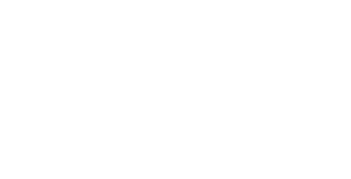 desiree-reiter-logo-weiss